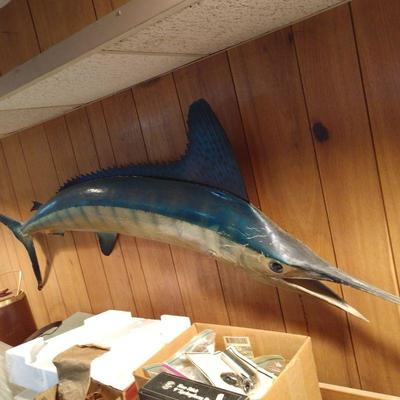 Blue Marlin Taxidermy Mount $195. As found