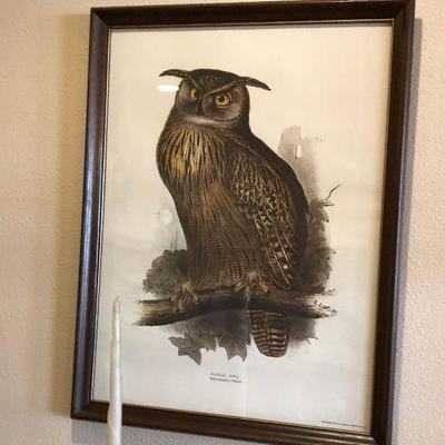 https://www.ebay.com/itm/114240088657	BU1073 Eagle Owl Pint Framed Plate Local Pickup	 Auction 
