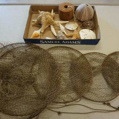 1042	LOT FISHING NET AND COLLECTION OF SHELLS
