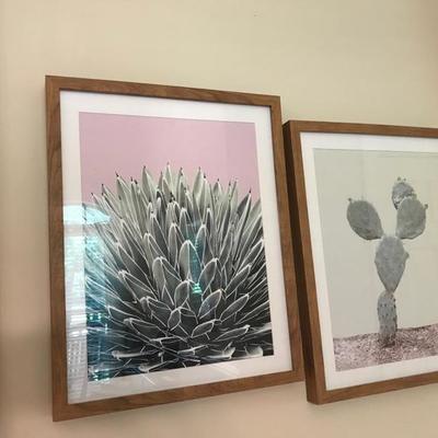 Cactus photograph $28 each