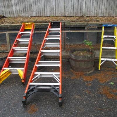Werner Ladders 