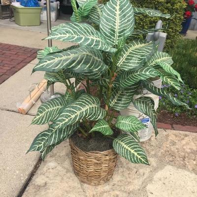 Various Fake Plants w/Wicker Vases $14 ea