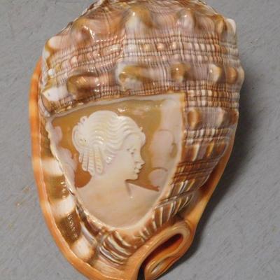 Carved Shell Cameo
