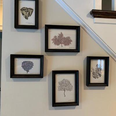 GROUPING OF 5 FRAMED FLORA & FAUNA $50 GROUP