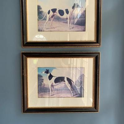 PAIR OF FRAMED GREYHOUND PICTURES 24'X19' $100 PAIR