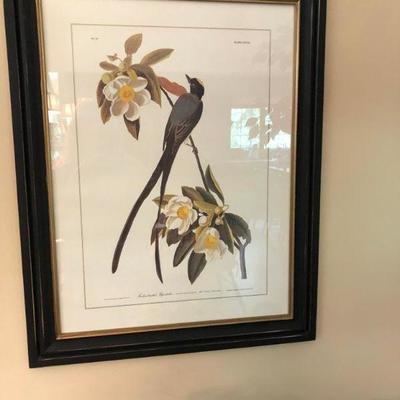 Audubon Print   $85
