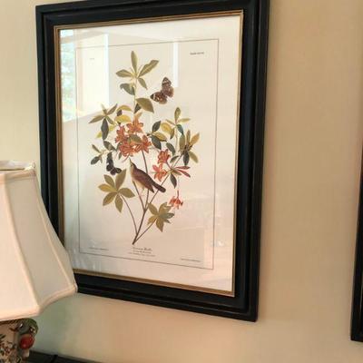 Audubon Print   $85