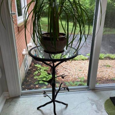 Bird Detail Plant Stand and Plant