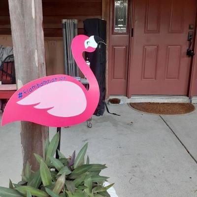 look for the flamingos #flambamnation
