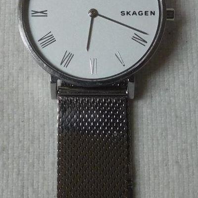 Skagen Watch