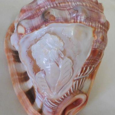 Carved Conch Shell Cameo