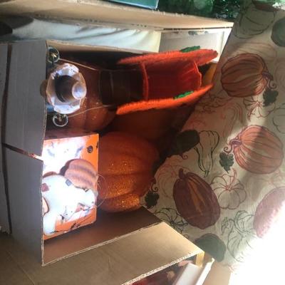 Halloween Box