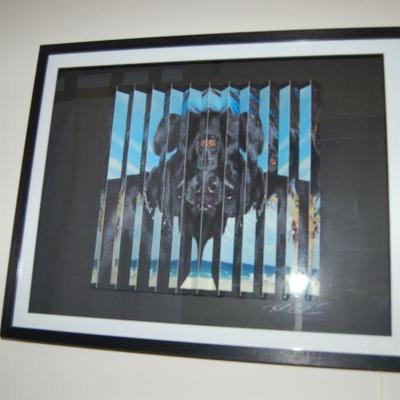 3-D black lab by Rob Cohen
