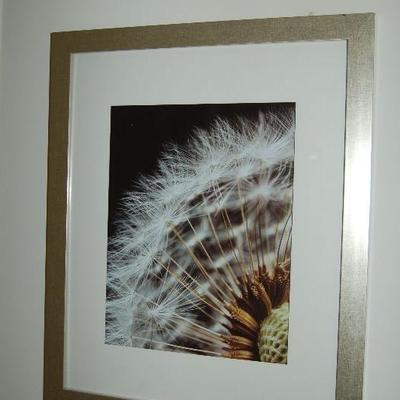 Art photography
