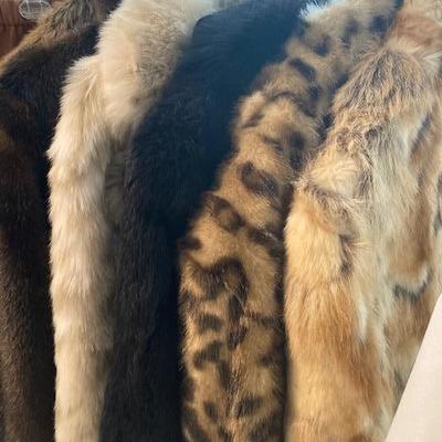 Fur coats in many varieties