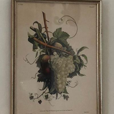 PR2074B https://www.ebay.com/itm/114314552332 PR2074B Colored Print of Fruit, J. L. Prevost invenit, Ruotte Direxil Local Pickup #2...