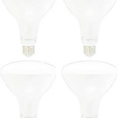 AmazonBasics 100 Watt Equivalent, Dimmable, BR40 LED Light Bulb - Daylight, 4-Pack