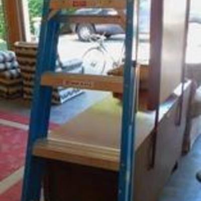 Folding Ladder