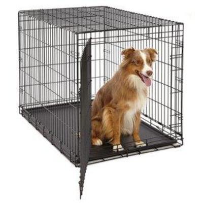 Large Dog Crate  MidWest Life Stages Folding Metal Dog Crate  Divider Panel, Floor Protecting Feet, Leak-Proof Dog Tray  42L x 28W x 31H...