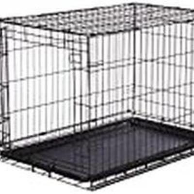 AmazonBasics Single-Door Folding Metal Dog Crate - Medium (36x23x25 Inches)