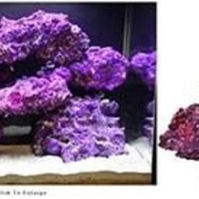 Nature's Ocean Purple Coral Base Rock 4-8 INCHES, 20 LBS