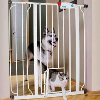 Carlson 36H Extra Tall Pet Gate with Small Pet Door
