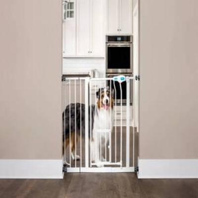 Carlson Extra Wide Walk Through Dog Gate with Door, Pressure Mount Kit & Wall Mount Kit