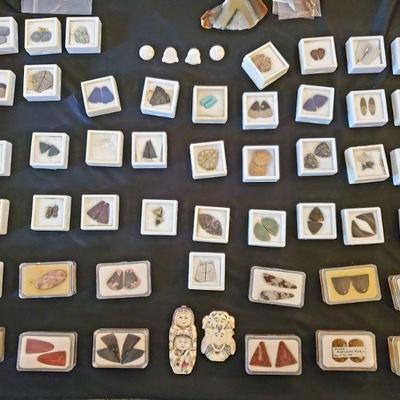dinosaur bone and precious stones