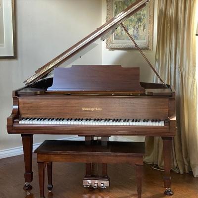Steinway Piano model M