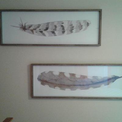 Framed Feather Prints
