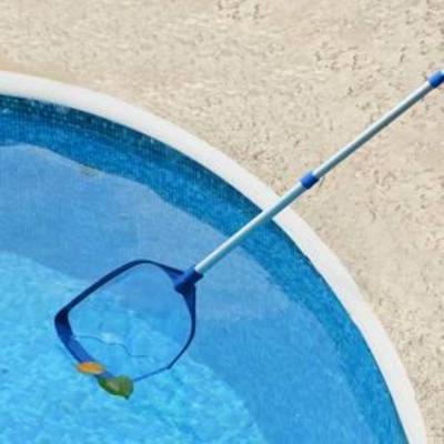 Mainstays Swimming Pool Scalable Skimmer W Pole,Total Length 57.5in