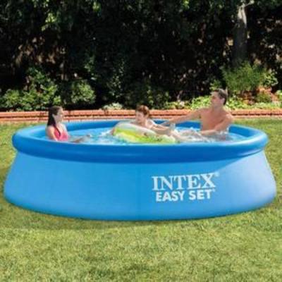 Intex 10-Feet x 30-Inch Easy Set Pool  Everything sealed up, APPEARS BRAND NEW