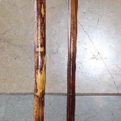 Portion of Walking Cane Collection:  