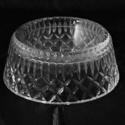"Spoiled" Crystal Dog Bowl