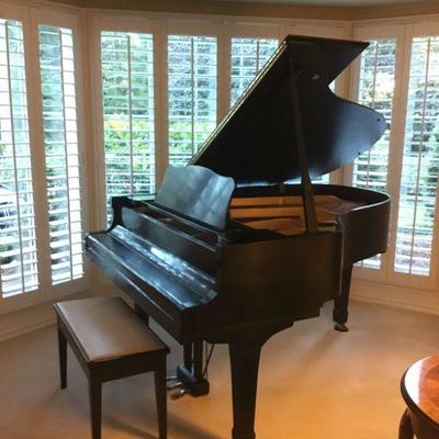Yamaha C3 Conservatory Series 6'1" Grand Piano (Made In Japan, One owner)