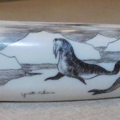 Scrimshaw of Walrus 