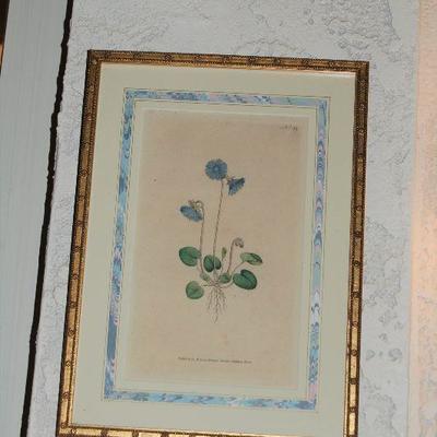 Numerous floral and botanical art