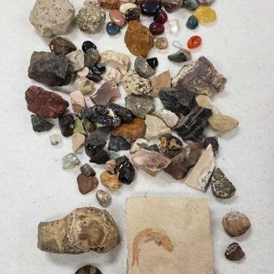 
#692 â€¢ Rocks, Impressed Fossils, And More