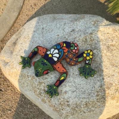 Garden frog 