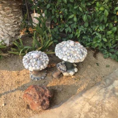 Garden mushrooms 