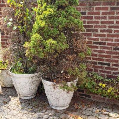 Concrete planters