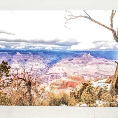 206	

Grand Canyon Photo By Bernie Feurer
On A Metal Sheet Measures Approx: 30