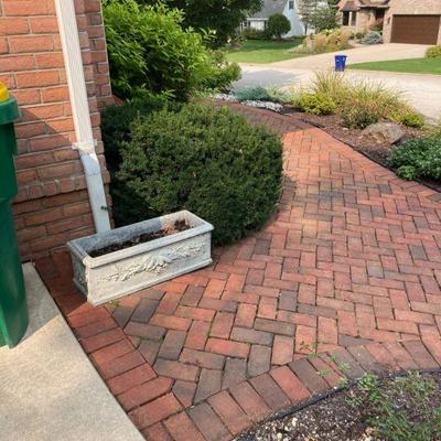 All yard decor is for sale. 