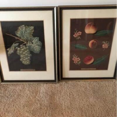 G Brookshaw Plate Series Prints