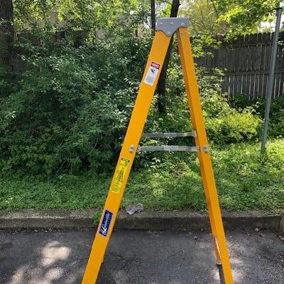 Brand New Lewisville Ladder