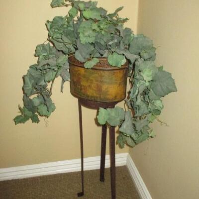 Plants and more 