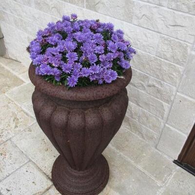 Outdoor Planters 