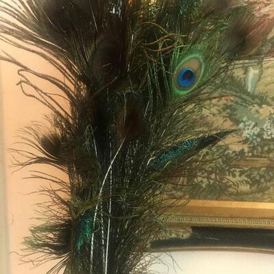 Peacock Feathers