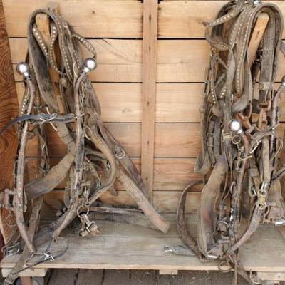 308	

Studded Black Draft Horse Harness for a Team
Studded Black Draft Horse Harness for a Team
Harness is in good condition.  Leather is...
