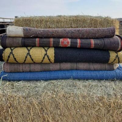 177	

Five Saddle Pads
Five Used Saddle Pads